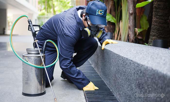 Pest Control Professionals - Cover photo