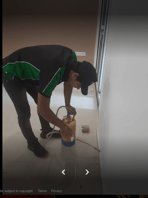Pest Control Rajouri Garden Delhi, Termite Pest Control Rajouri Garden Delhi - Cover photo