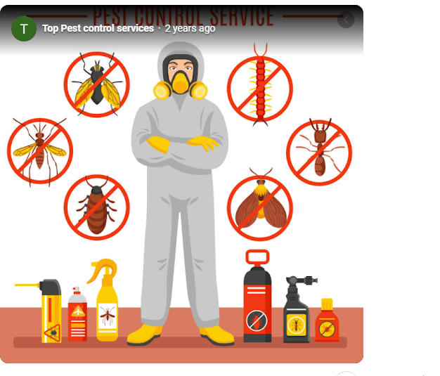 Top Pest control services - Cover photo