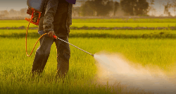 Best Pest Control Services in Delhi NCR Allinone Pest Control India - Logo
