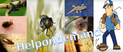 Pest Control Services By Helpondemand - Logo