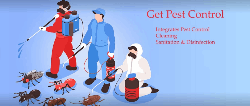 Pest Control Services - Logo