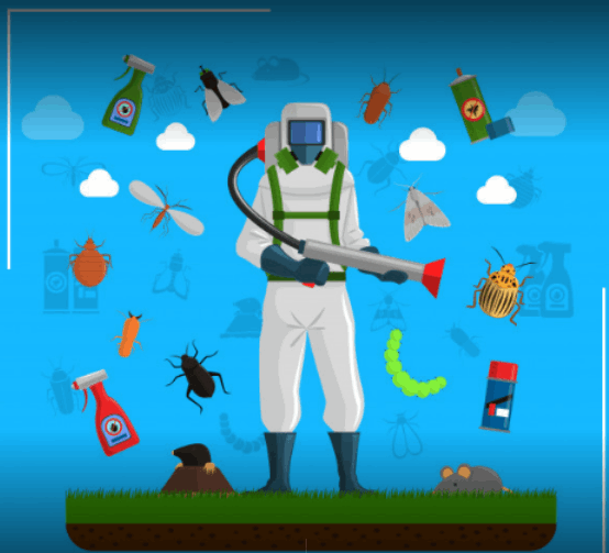 Pest Control Services - Cover photo