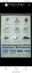 Pest Control Service Bangalore - Logo