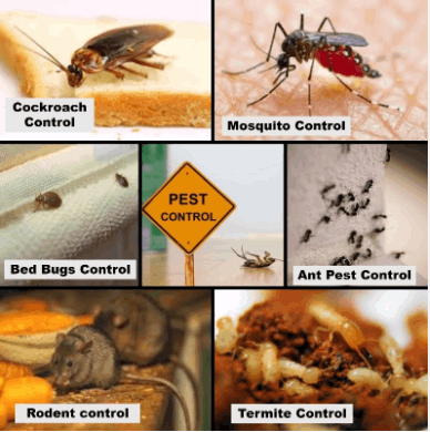 Pest Control Technologies - Cover photo