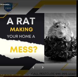 Pest Cure Incorporation - Logo