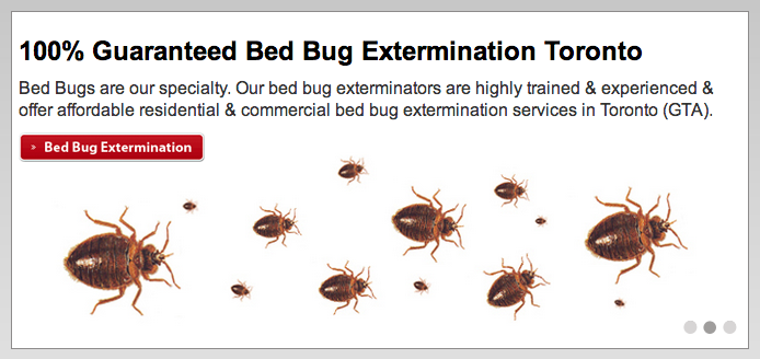 Pestend Pest Control Vaughan - Logo