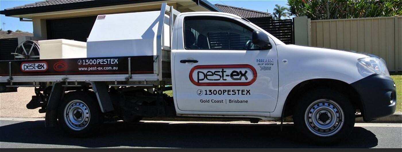 Pest - Ex - Cover photo