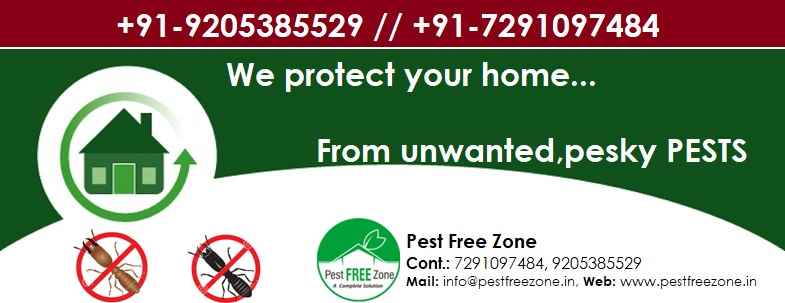 Pest Free Zone - Cover photo