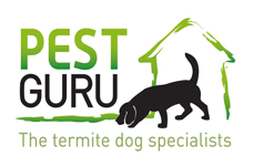 Pest Guru - Logo