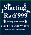 Pestofree Pest Control - Logo