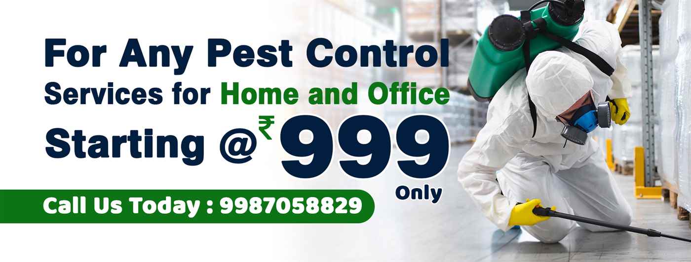 Pestofree Pest Control - Cover photo
