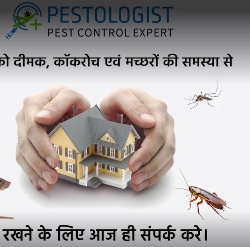 Pestologist Pest Control Expert - Logo