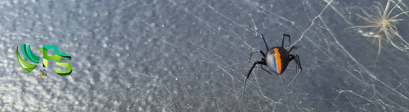 Pest Shield - Cover photo