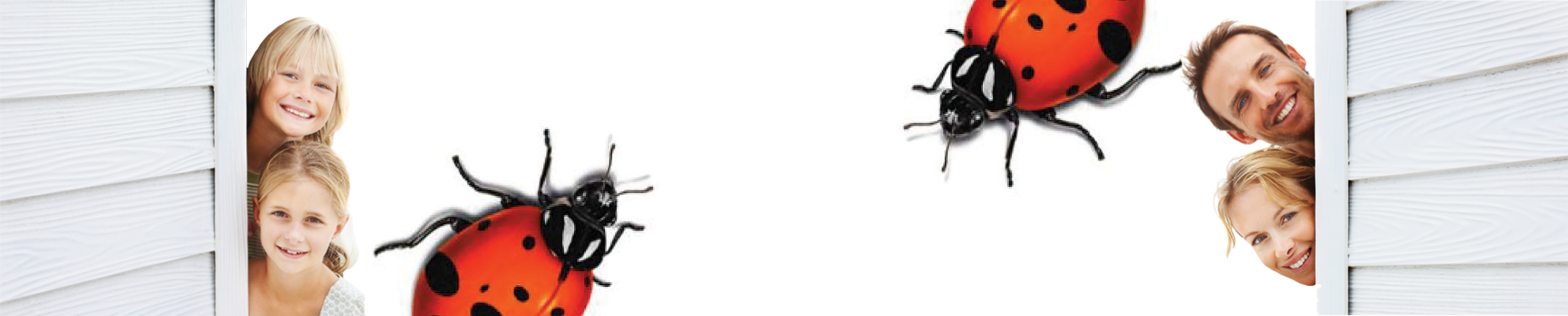 Pest Solutions - Cover photo