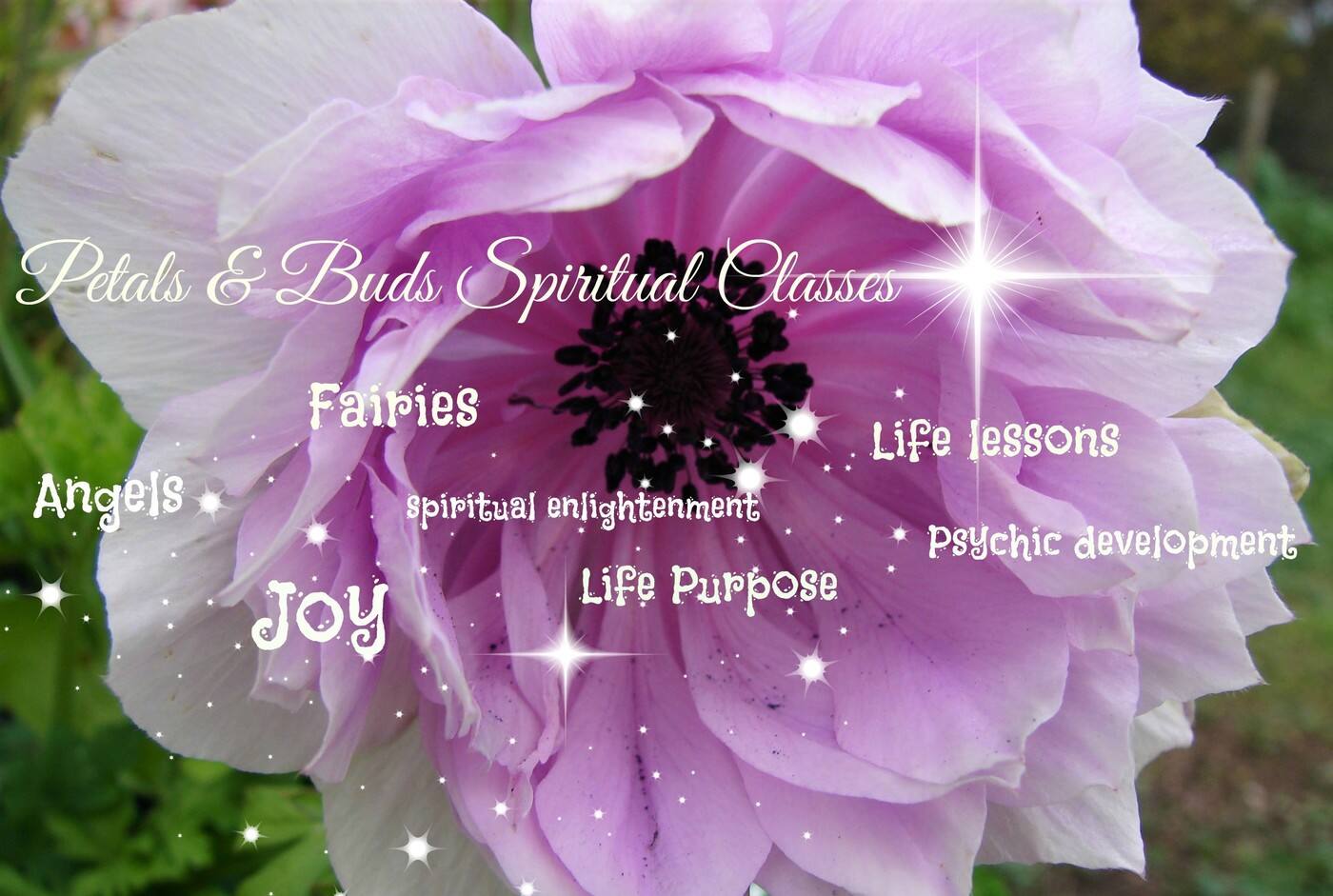 Petals & Buds Spiritual Teaching & Nature Classes - Cover photo