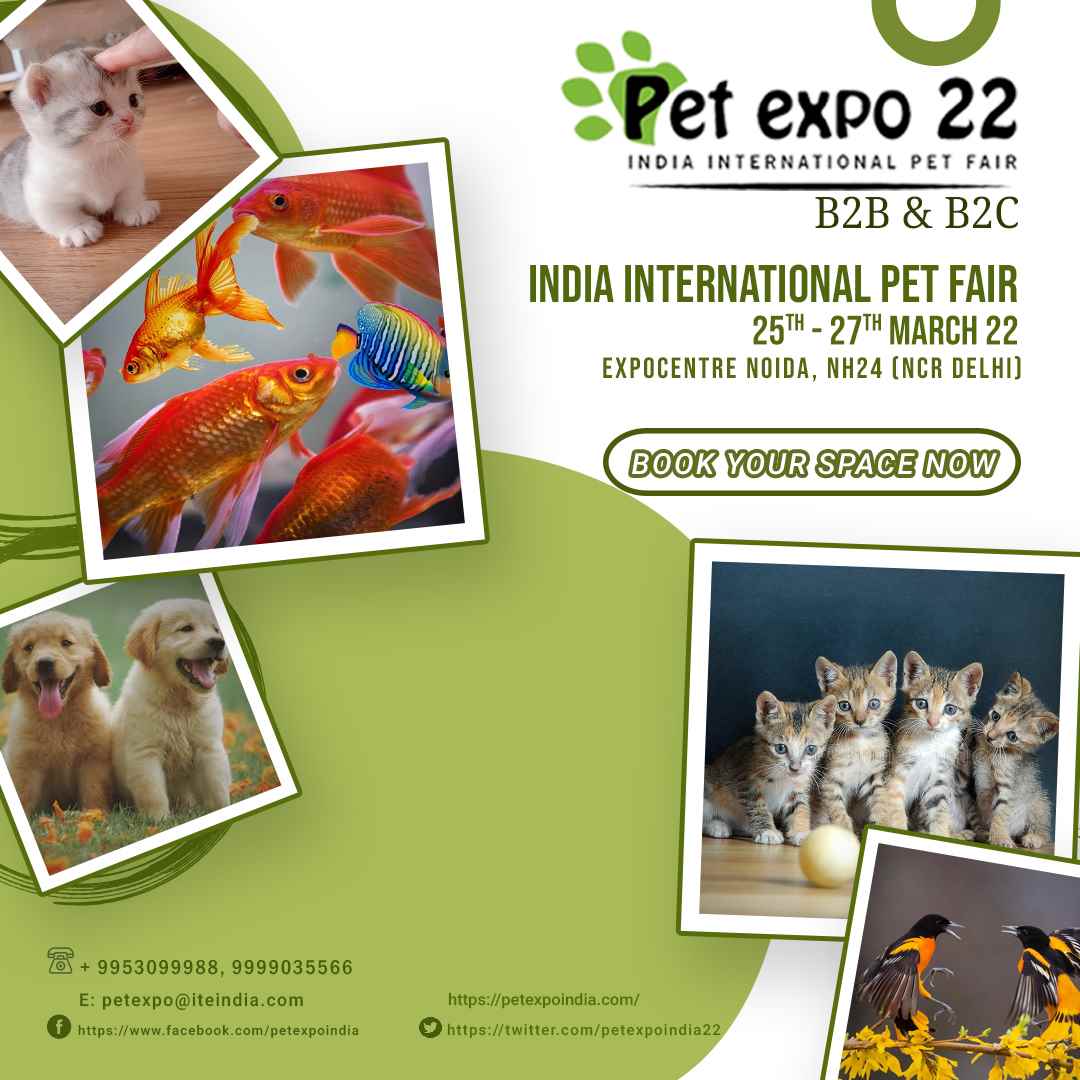 Petek India - Cover photo