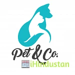 Peter Calvin - Logo
