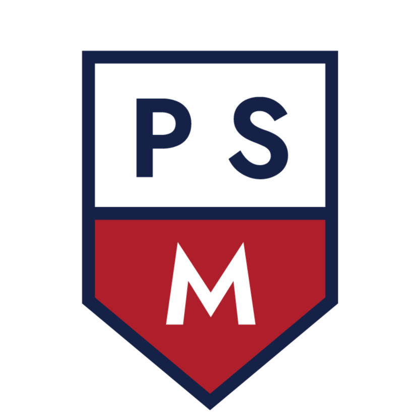 Peter Stevens Nissan - Logo