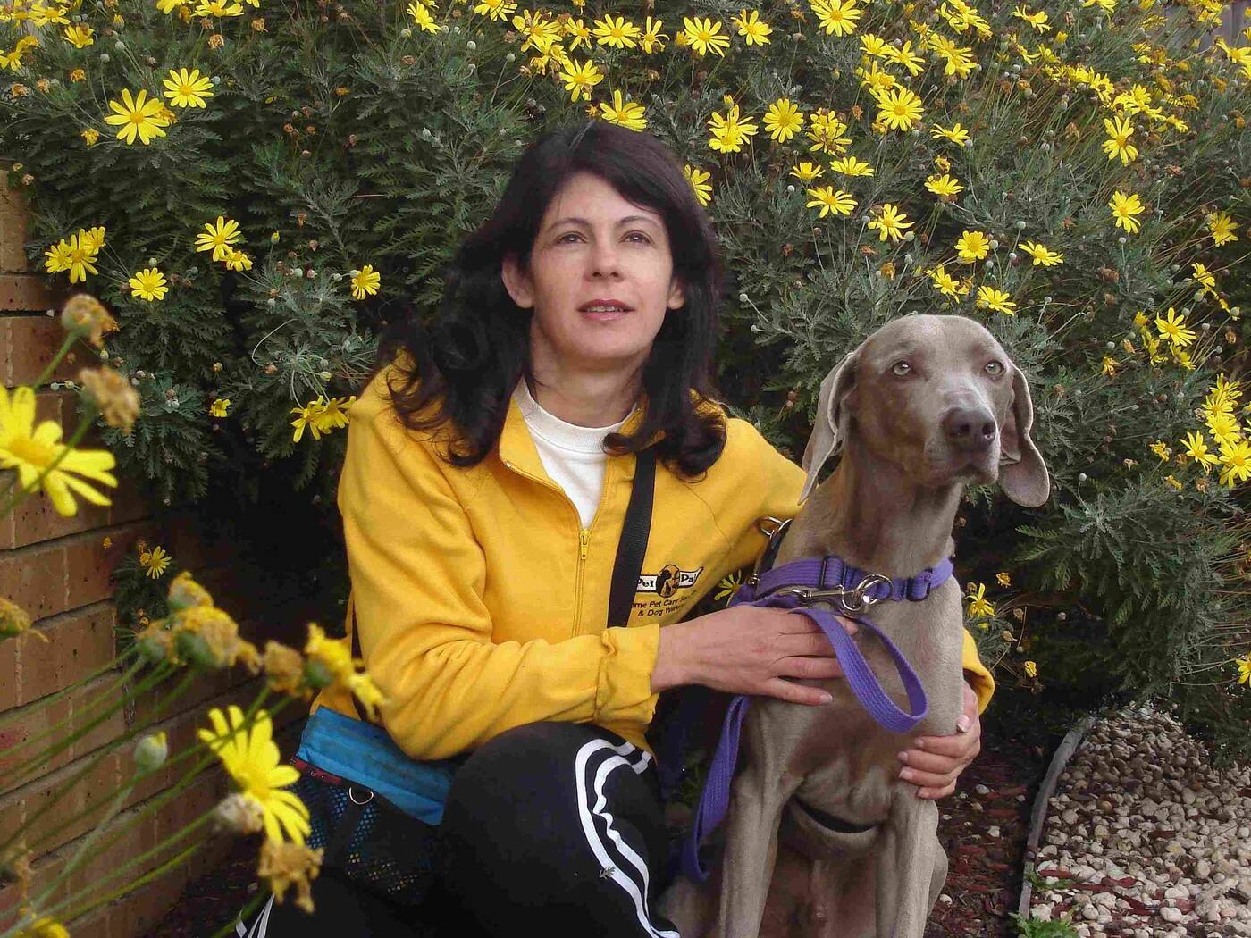 Pet Pals Dog Training and Walking - Cover photo
