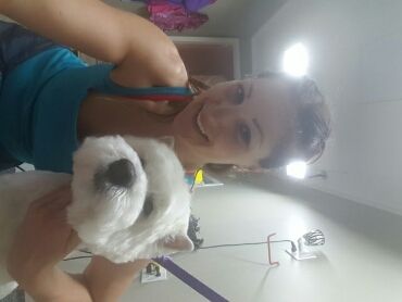 PET PARADISE GROOMING - Logo