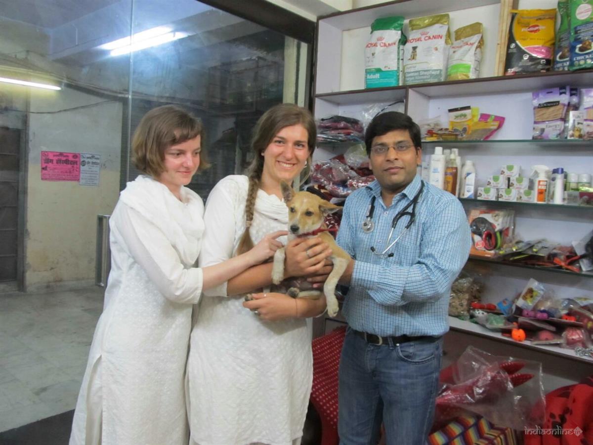 Pets Vets Dog Cat Hospital - Cover photo