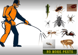 PFI PEST CONTROL PVT. LTD. - Logo