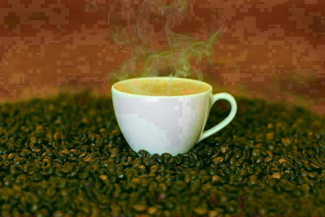 Phantom Cafe - Logo