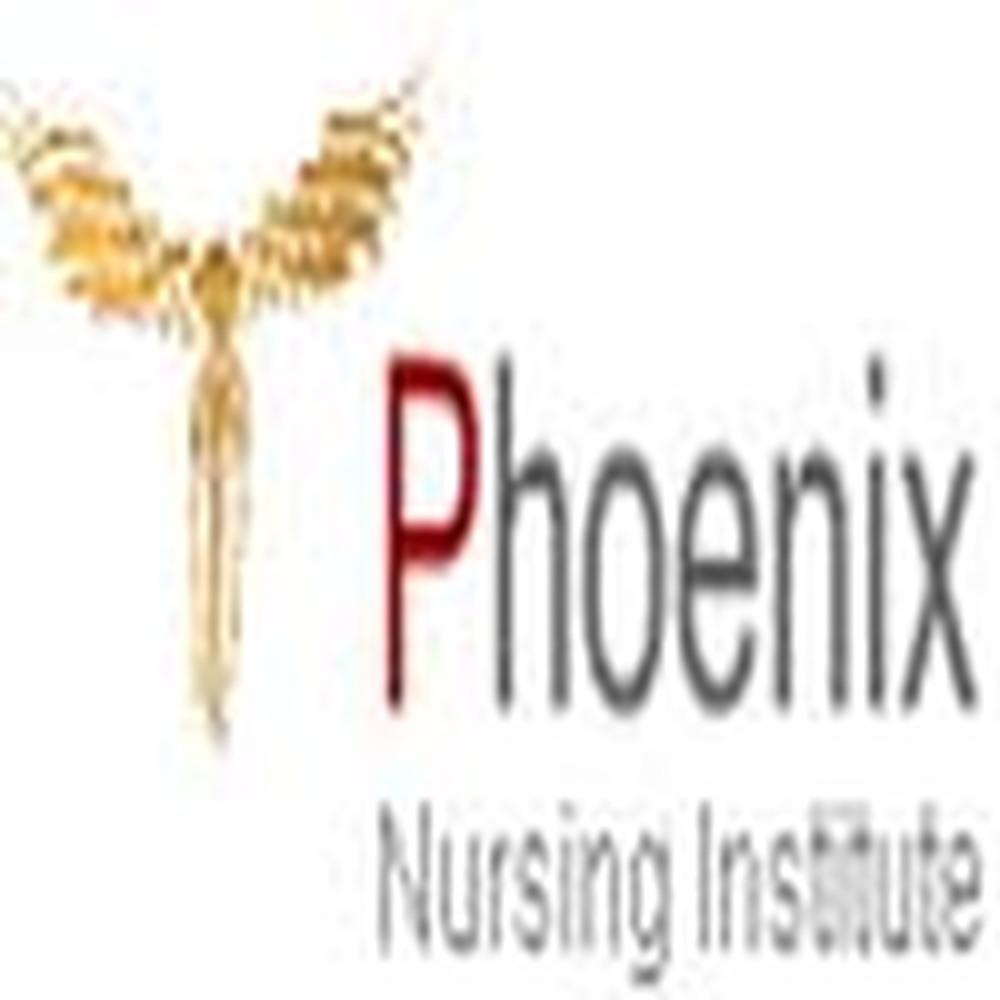 Phoenix Nursing Institute (PNI) - Logo