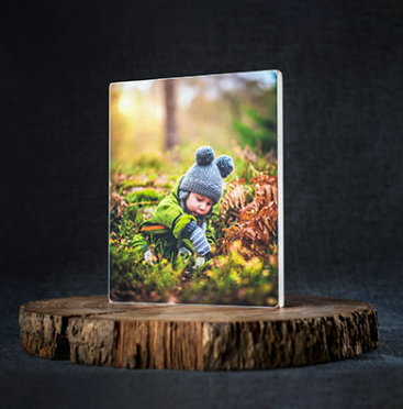 Photomart - Logo