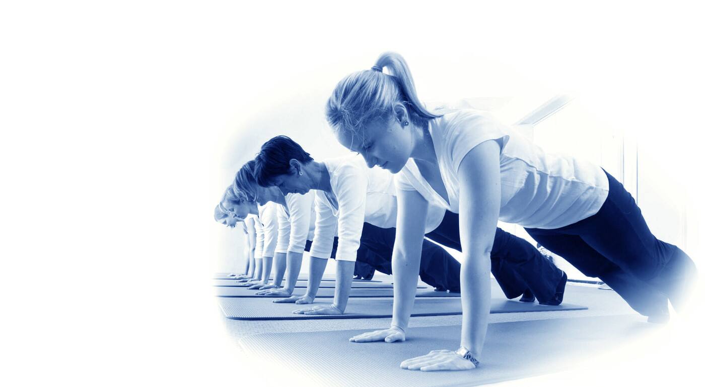 Physio Pilates Proactive - Logo