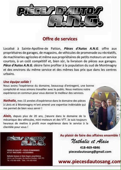 Pièces d&s;Autos A.N.G. - Logo