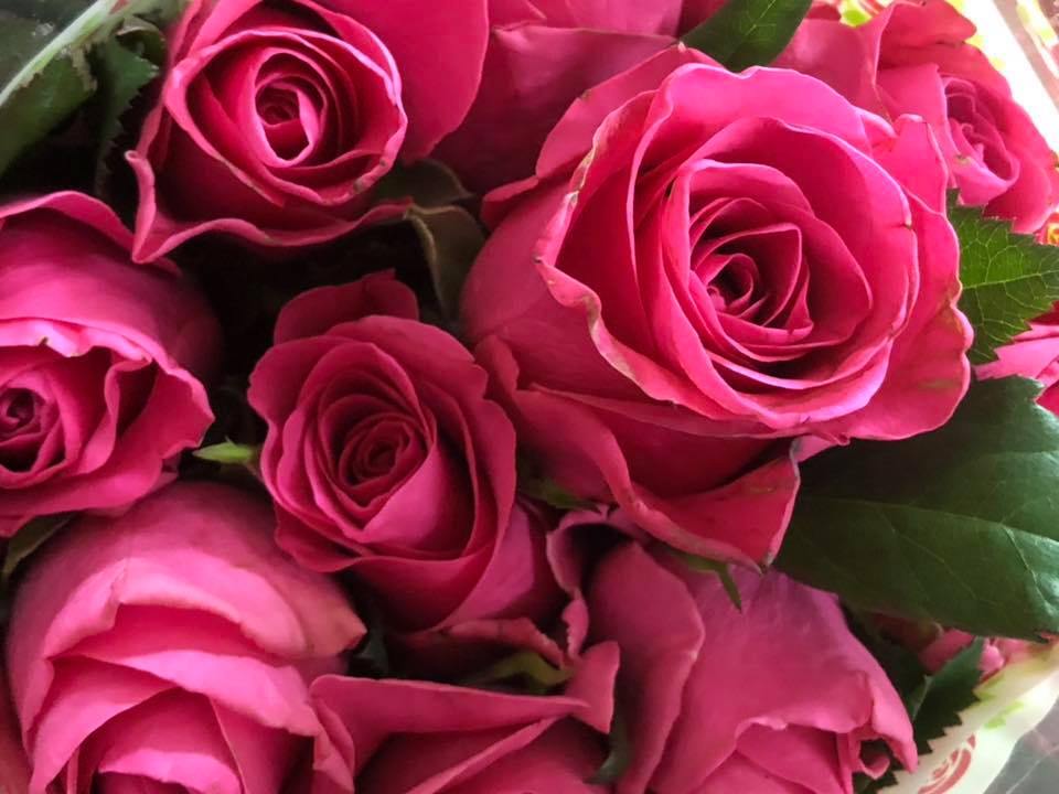 Pick-A-Bunch Florists & Gifts - Logo