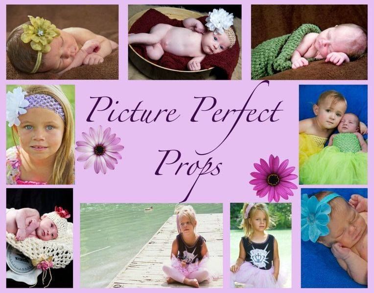Picture Perfect Props By Mich - Logo