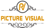Picture Visual - Logo