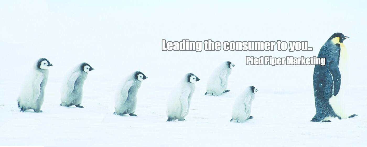 Pied Piper Marketing - Cover photo