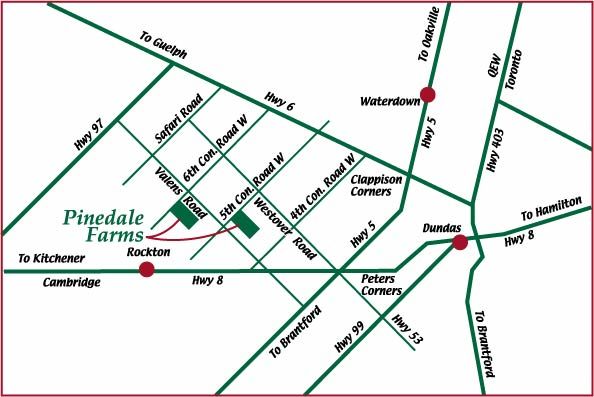 Pinedale Christmas Tree Farms - Logo