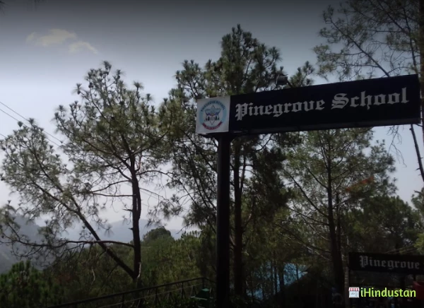 Pinegrove School Dharampur - Logo