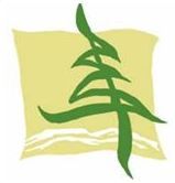 Pine Ridge Dental Centre - Logo