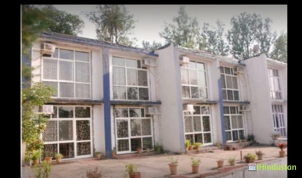 Pinewoods International School - Logo