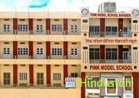 Pink Model Senior Secondary School - Logo