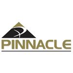 Pinnacle Consultants Inc - Logo