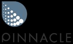 Pinnacle Financial Services 249484 - Logo