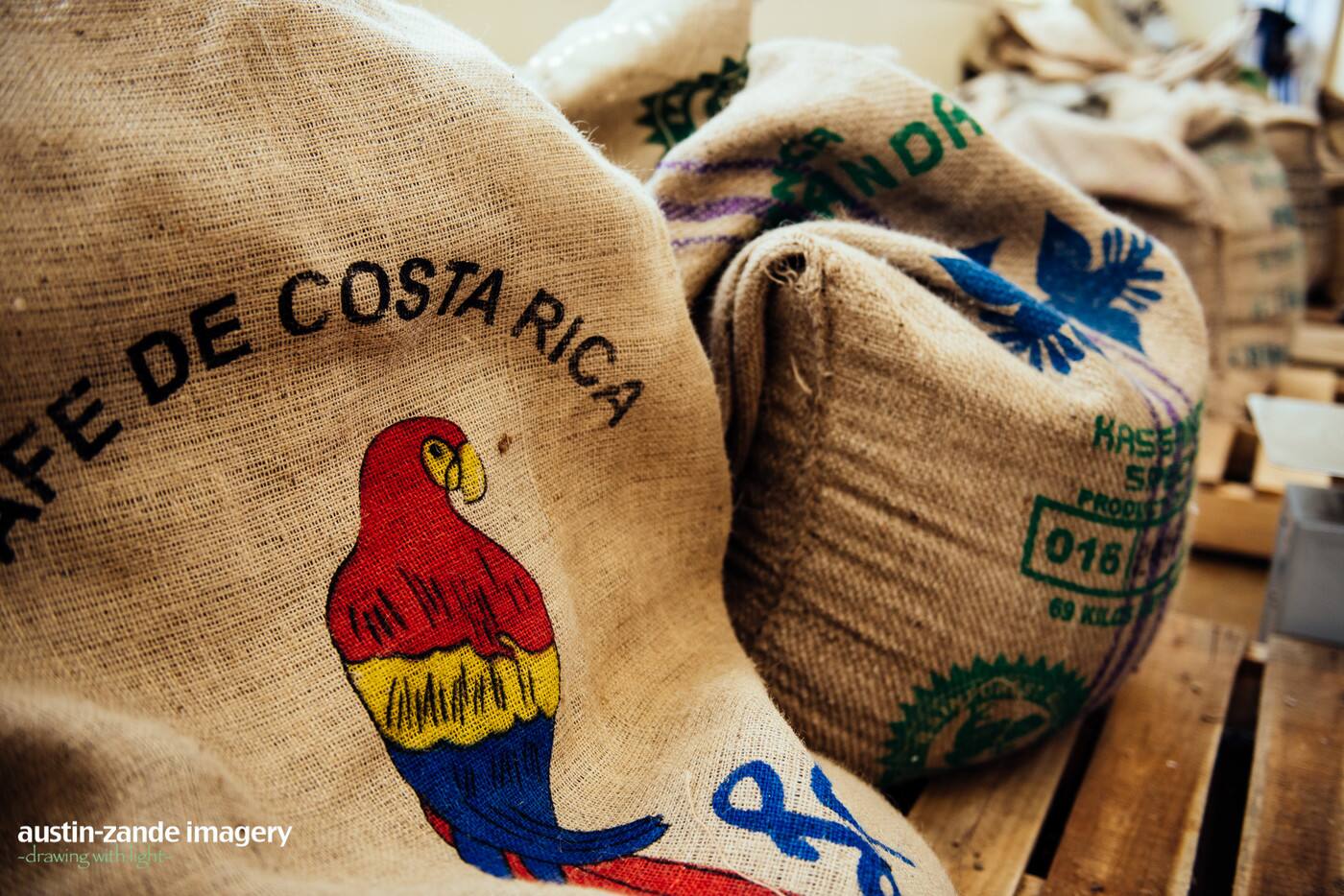 Pioneer Coffee Roastery - Logo