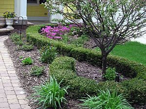 Pioneer Landscaping - Logo