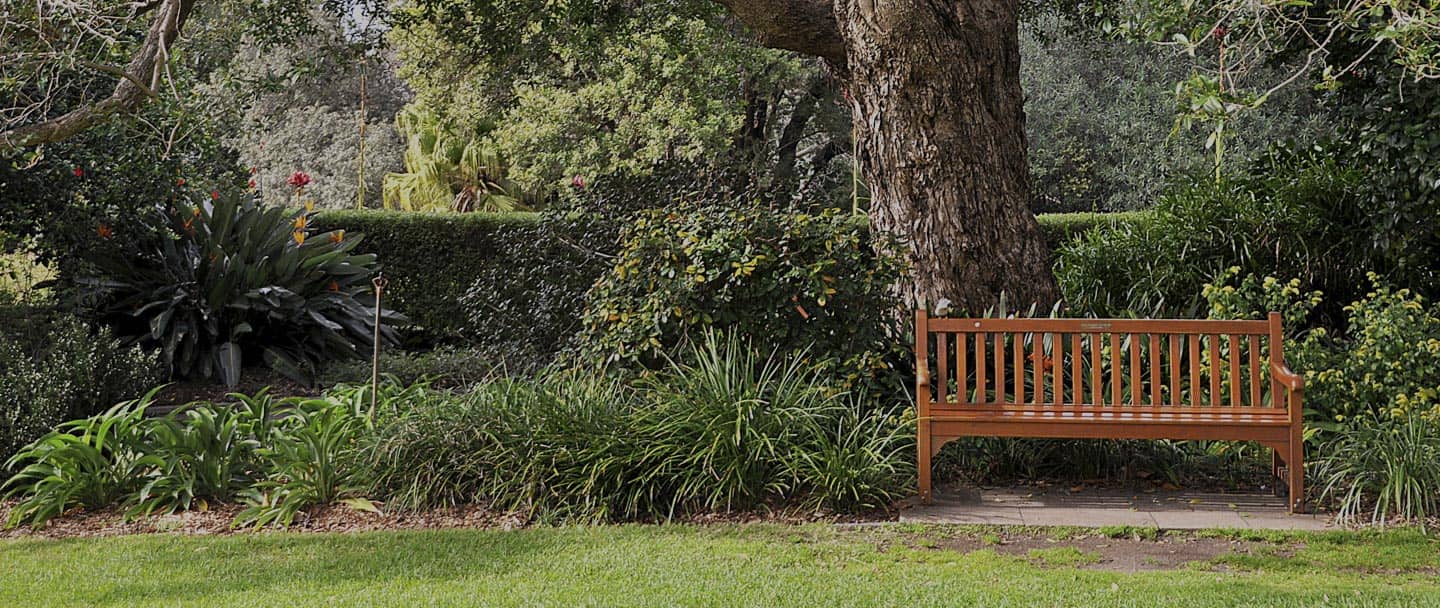 Pirrama Park - Cover photo