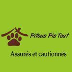 Pitous Pis Tout - Logo
