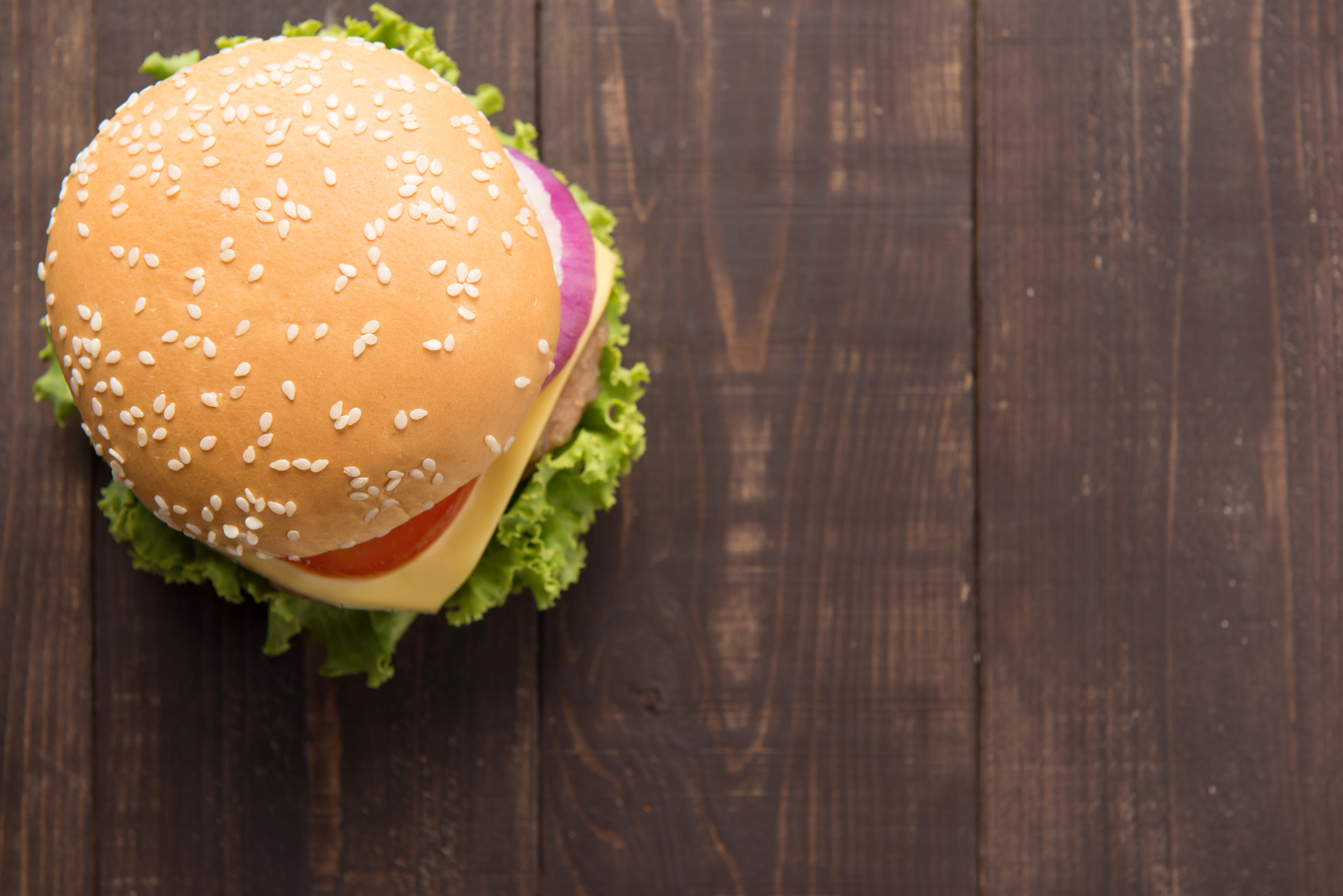 Pizza and Burger - Logo