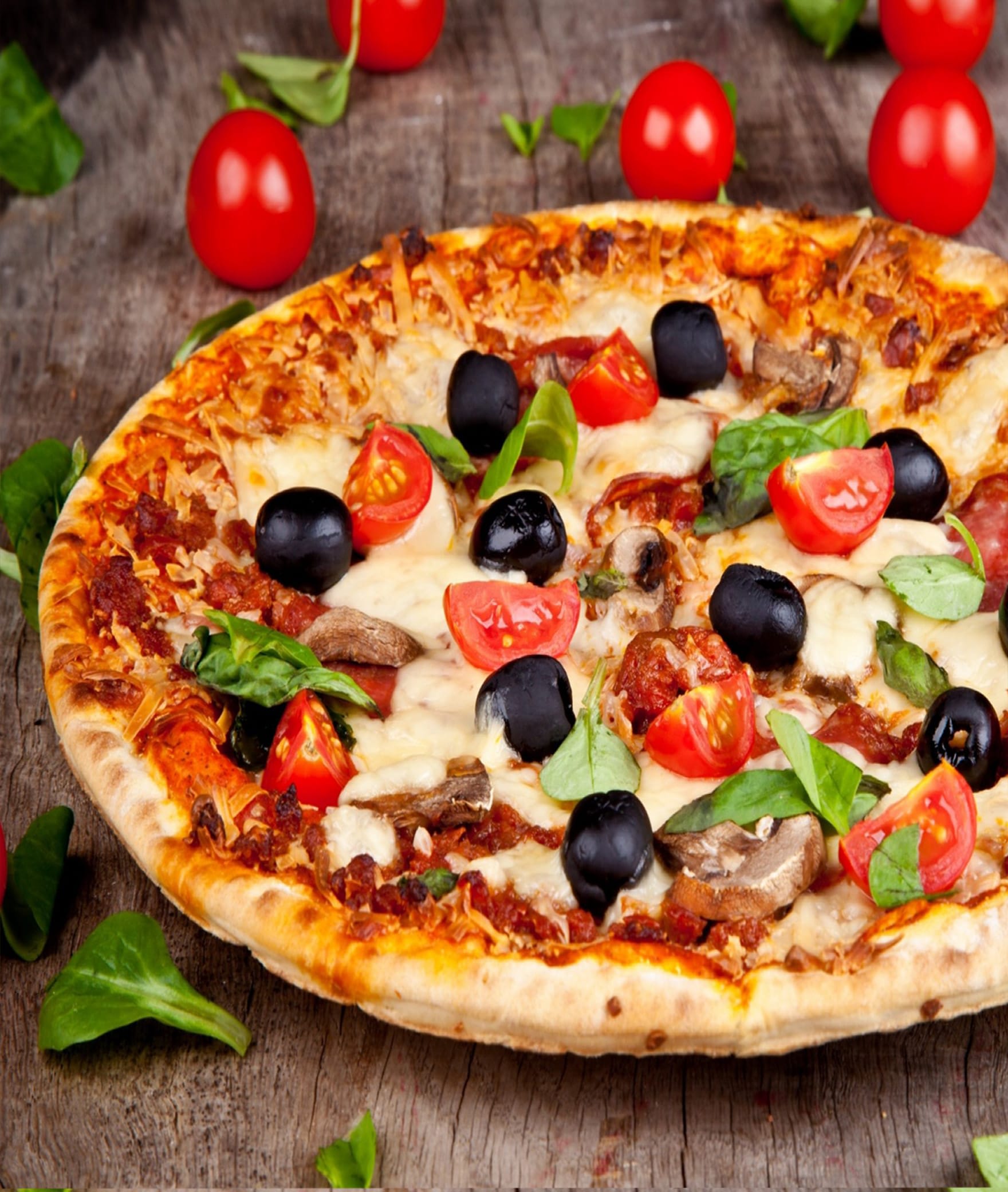 PIZZA GOURMET KITCHEN - Logo