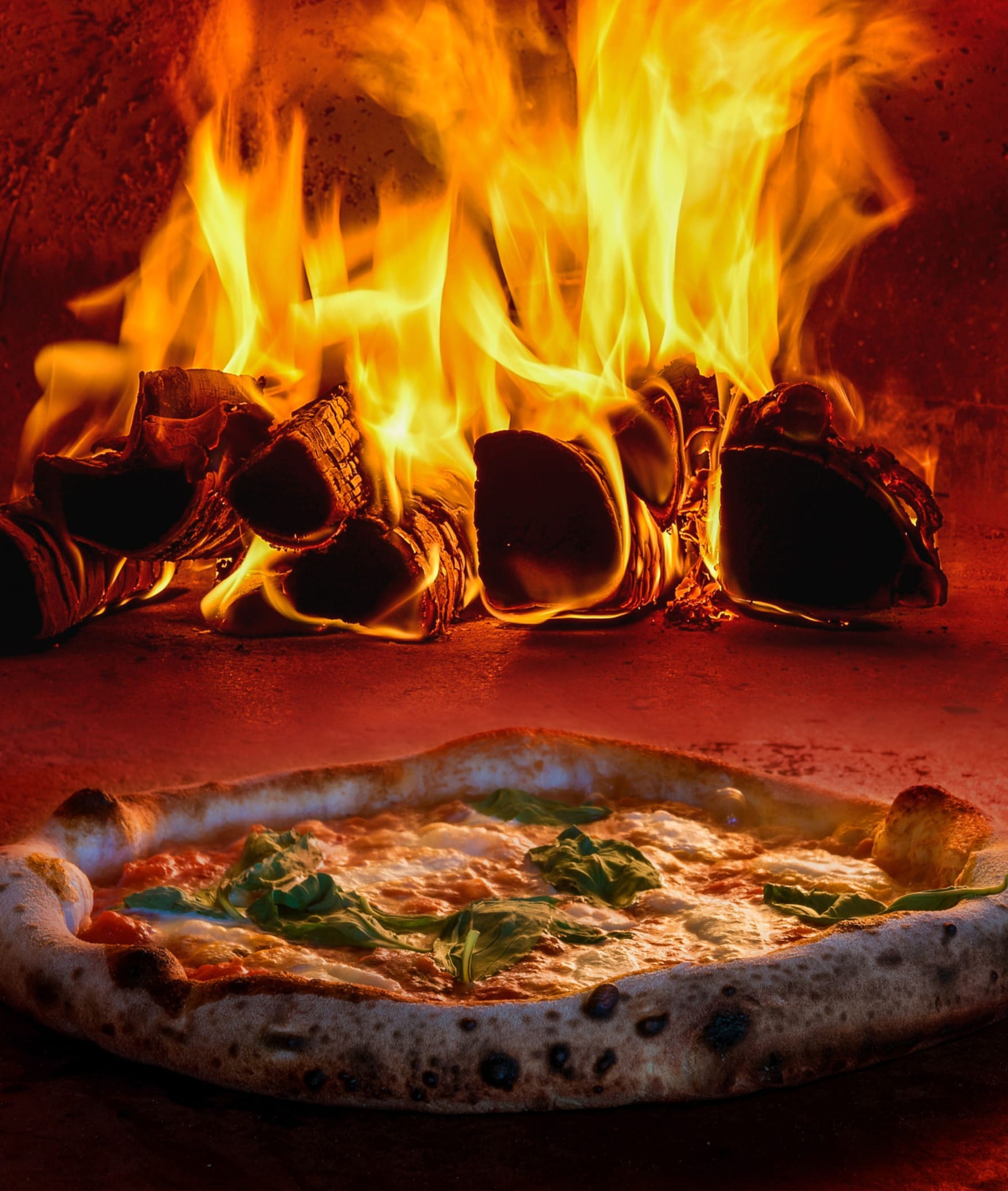 Pizza Therapy - Logo
